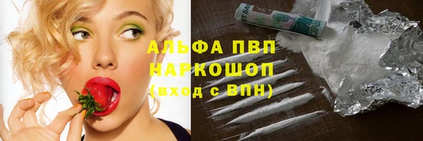 spice Корсаков