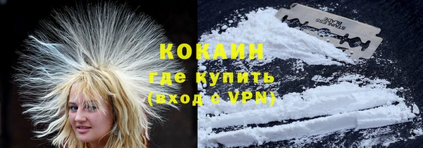 стафф Коряжма