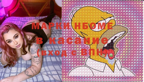 стафф Коряжма