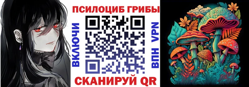 Купить закладки  Клинцы  Галлюциногенные грибы Cubensis 