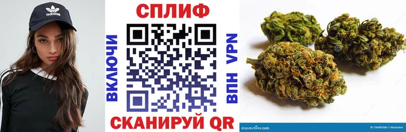 Бошки марихуана ГИДРОПОН  Купить где  Клинцы 